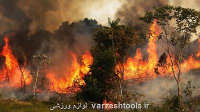 اهمال دستگاه ها در مقابله با آتش سوزی جنگلها مجازات به دنبال دارد