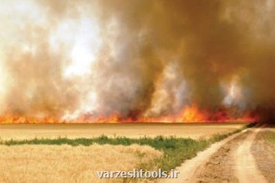 سالانه ۳۰ هزار هكتار زمین كشاورزی در شوشتر به آتش كشیده می شود