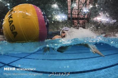 رایزنی رئیس فدراسیون شنا برای برگزاری مسابقات انتخابی المپیك